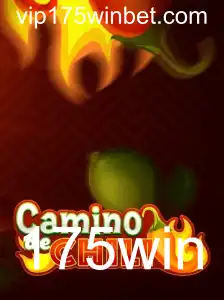Tudo o que Você Precisa Saber sobre o Jogo CaminodeChili